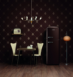 Отдельностоящий двухкамерный холодильник Gorenje RF 60309 OCH