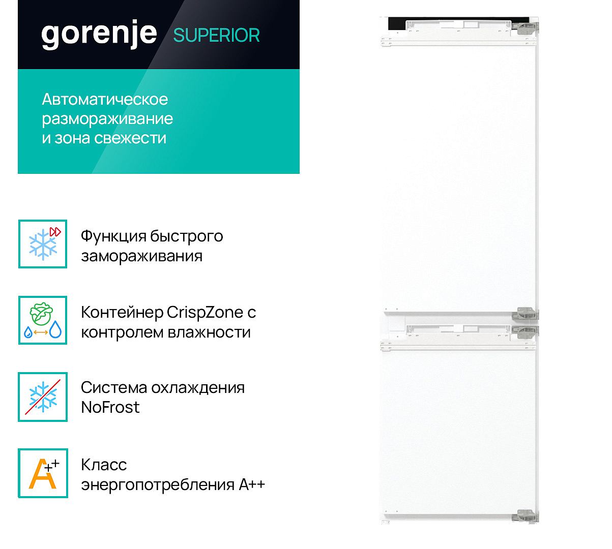 Встраиваемый двухкамерный холодильник Gorenje GDNRK5182A2 preview 5