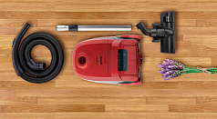 Пылесос мешковый Gorenje VC 2321 GPRRCY