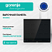 Купить Независимая индукционная варочная панель Gorenje IS646BG