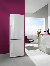 Отдельностоящий двухкамерный холодильник Gorenje RK 65 SYW
