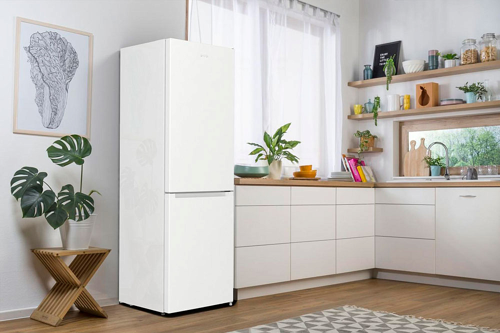 Отдельностоящий двухкамерный холодильник Gorenje RK6191EW4 preview 7