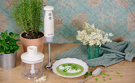 Погружной блендер Gorenje HBX603RL