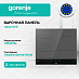 Купить Независимая индукционная варочная панель Gorenje GI6421SYB